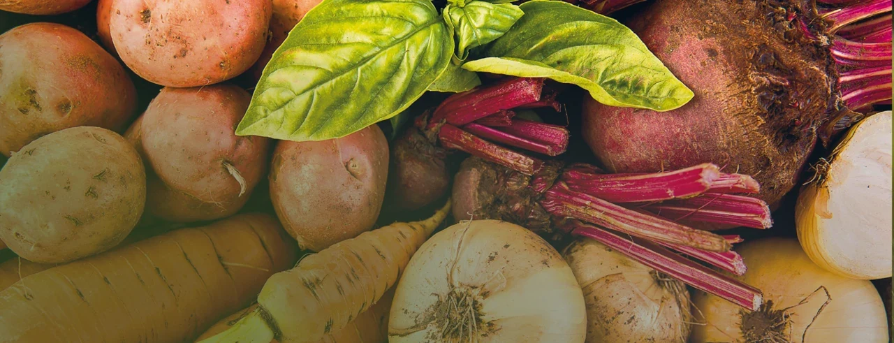 Овощные культуры
